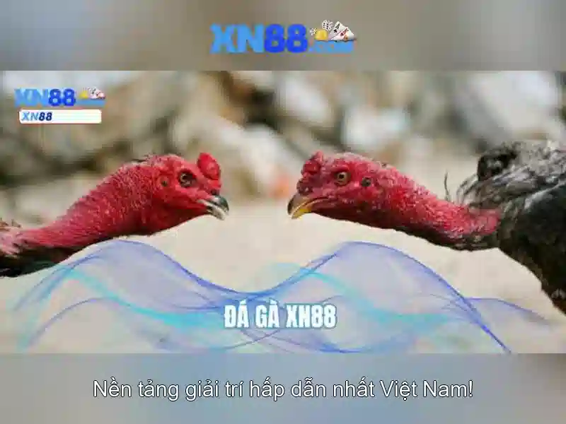 💎888slot slot thành tích💎