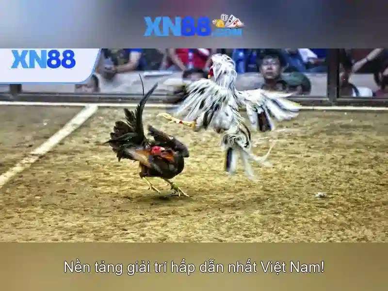 💎mua thẻ game nạp tiền nhà cái💎