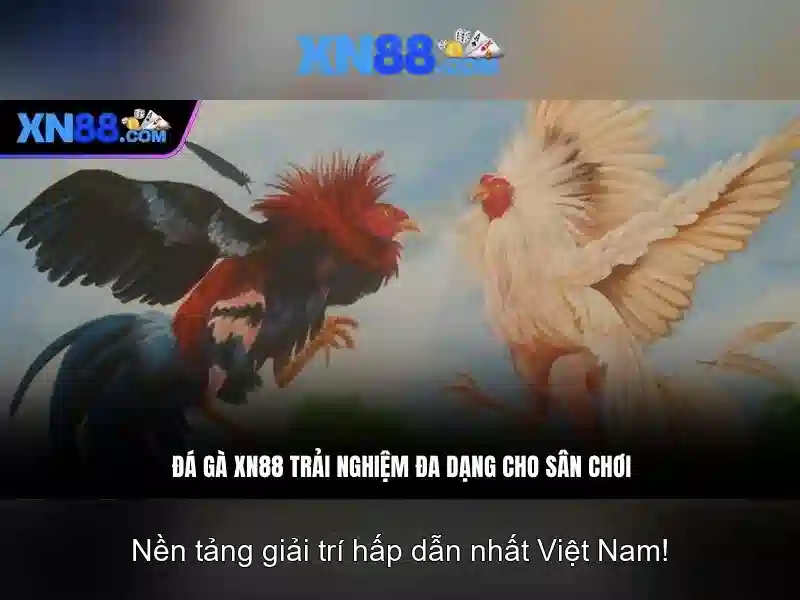 💎bài đánh giá về khe song - thác bạc yên tử💎