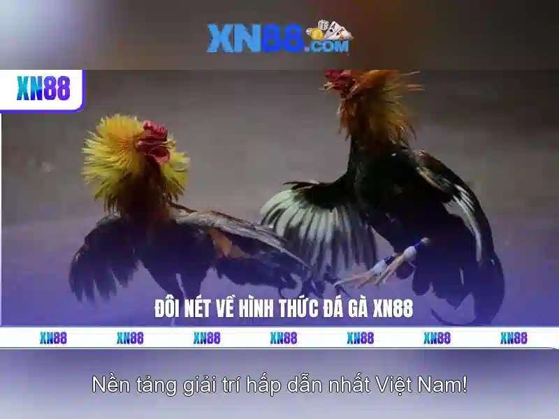 💎888 slot city app💎