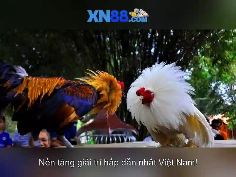 💎w88 cá cược thể thao casino 2024💎