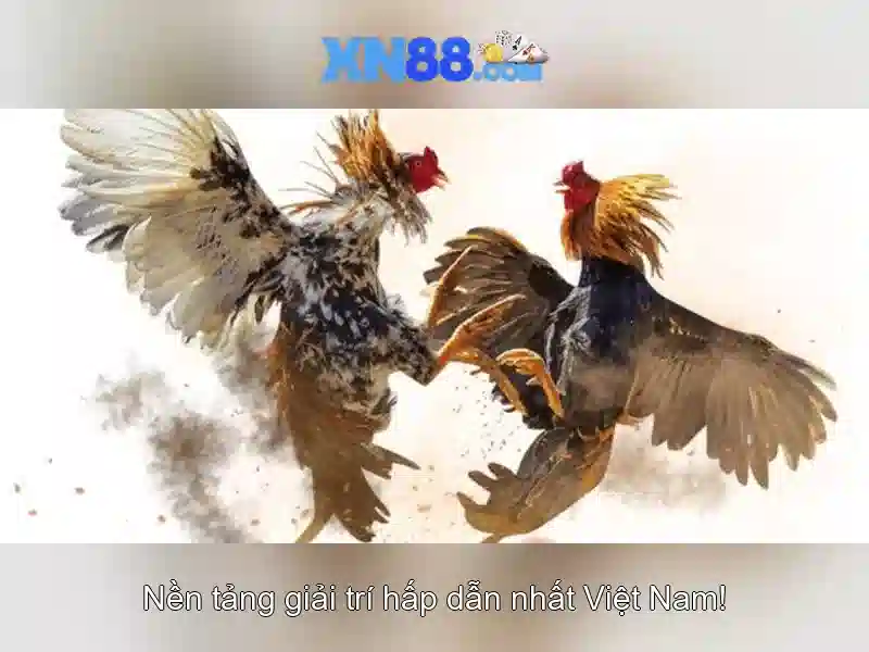 💎888slot bingo💎