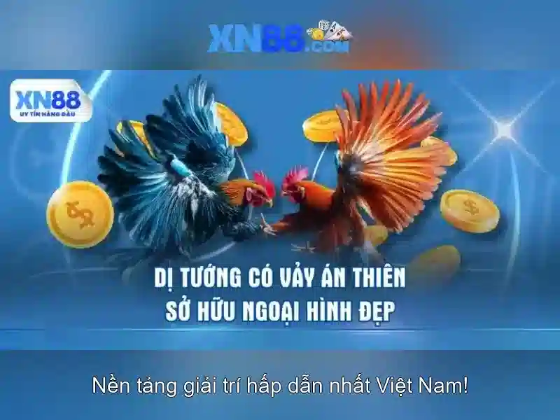 💎nhà xe lào cai về thanh hóa💎