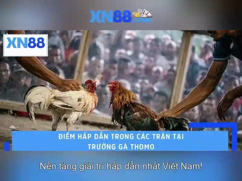 💎xn88 bongdanet💎