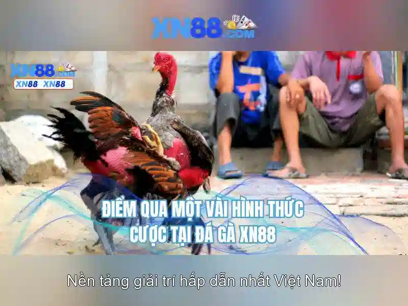 💎hb88 plus casino💎