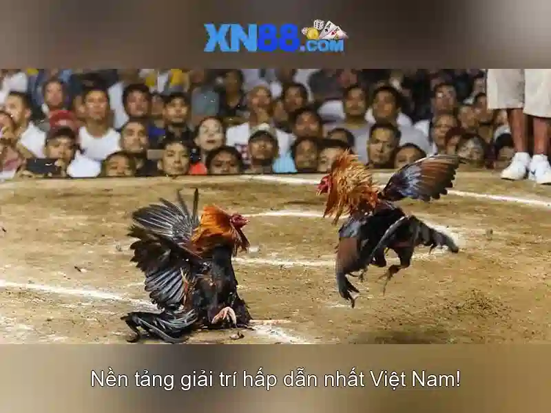 💎hd slots machines💎