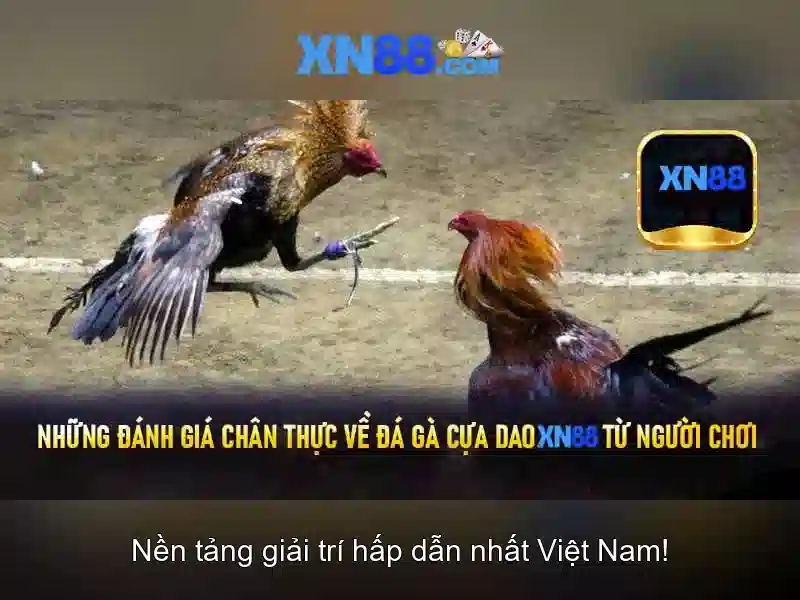 💎triciclos electricos 888 slot💎