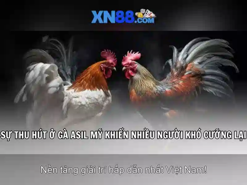 💎hb88 slot mo salah💎