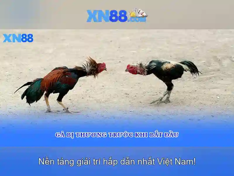 💎kèo nha cai kết quả bóng đá anh💎