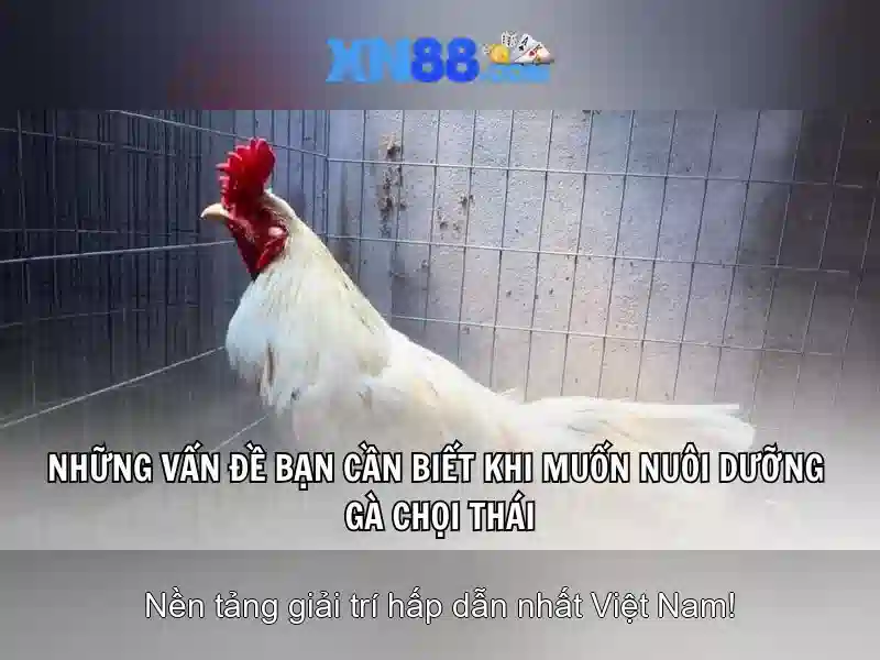 💎cô giáo hương đánh bạc💎