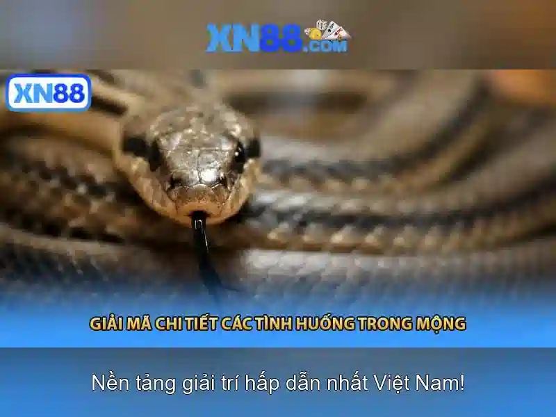 💎xn88 slot voetballer💎