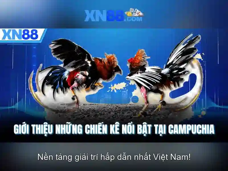 💎con rể phạm quang nghị đánh bạc💎