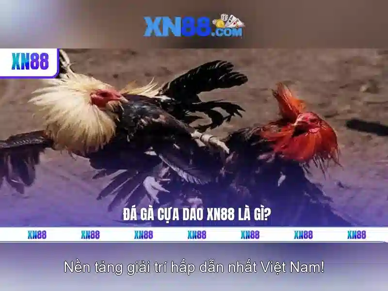 💎xn88 free 100 new register💎