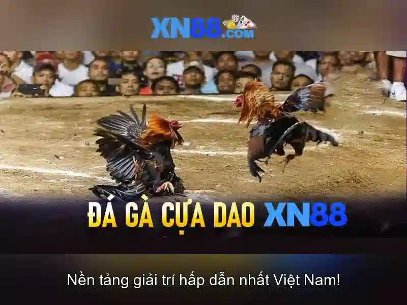 💎xn88 khmer login💎