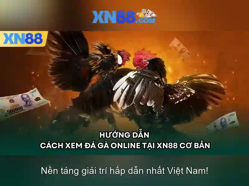 💎kèo nhà cái mi tom 1tv💎