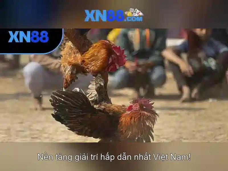 💎đằng ký 888slot, tài khoản 888slot💎