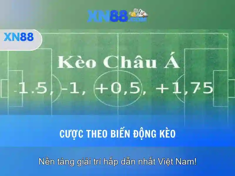 💎ryegård slot💎