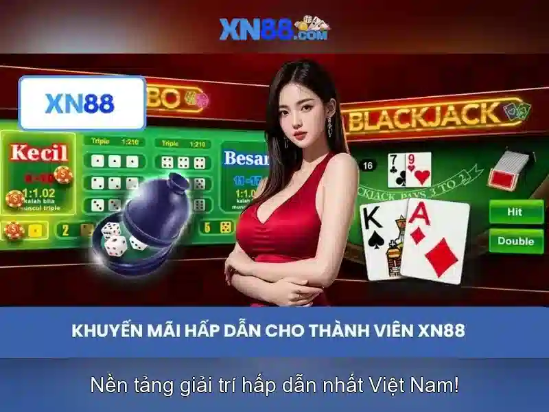 💎xn88 informatica💎