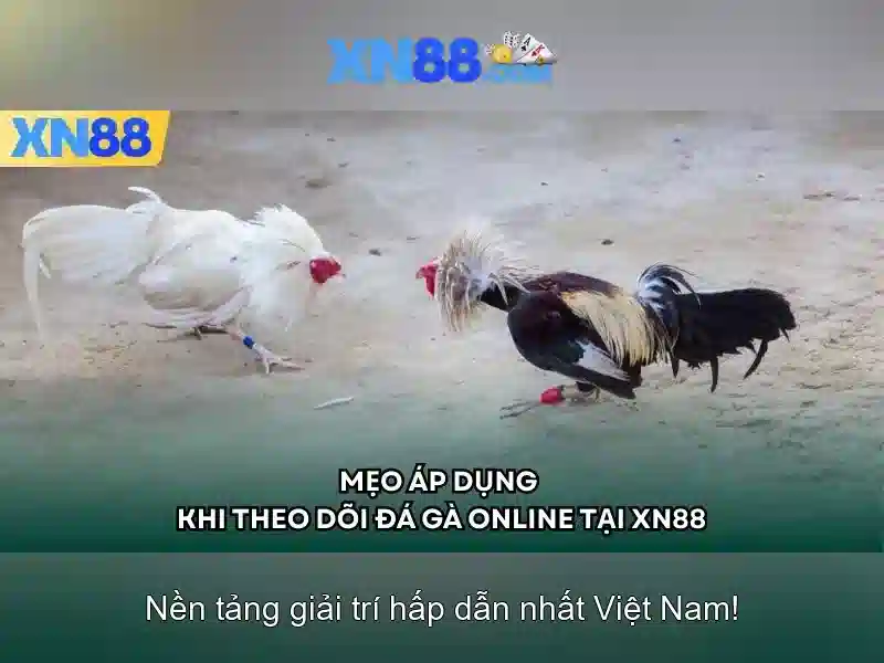 💎on line casino slots💎