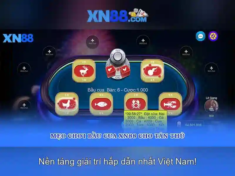 💎xn88 bet casino💎