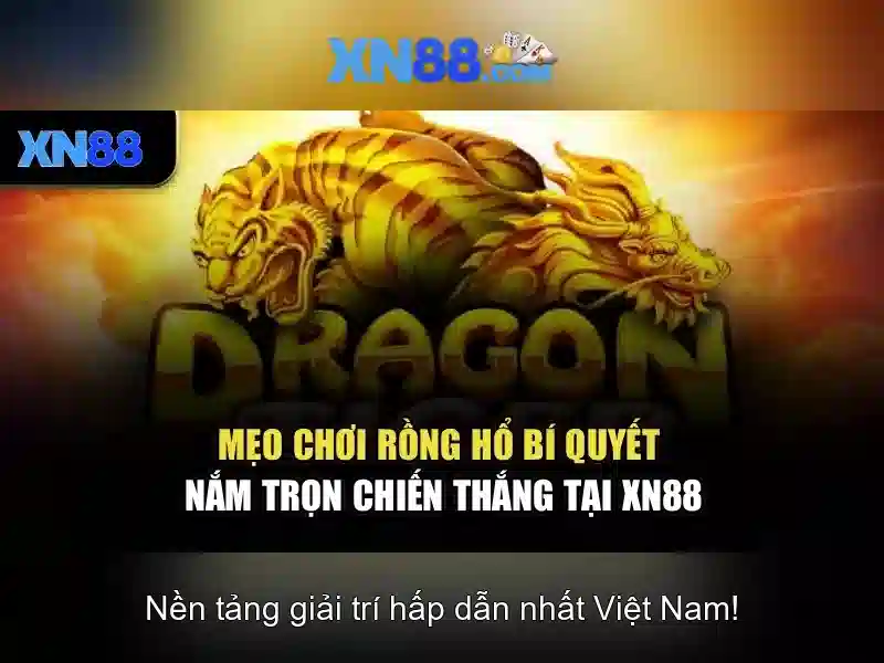 💎xn88 892💎