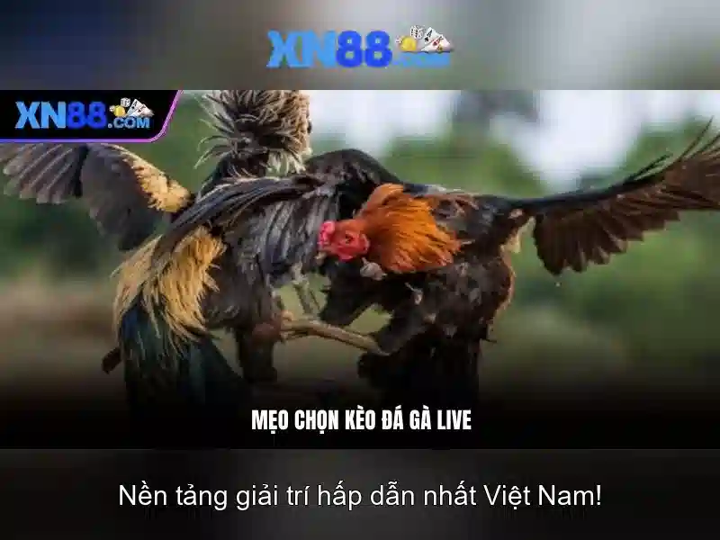 💎nha cai uy tín dev💎