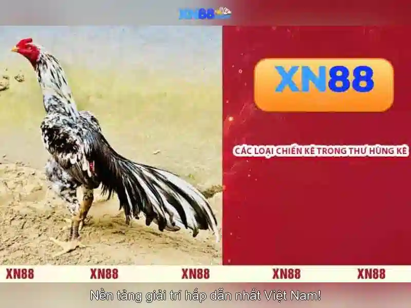 💎slot m2 nvme💎