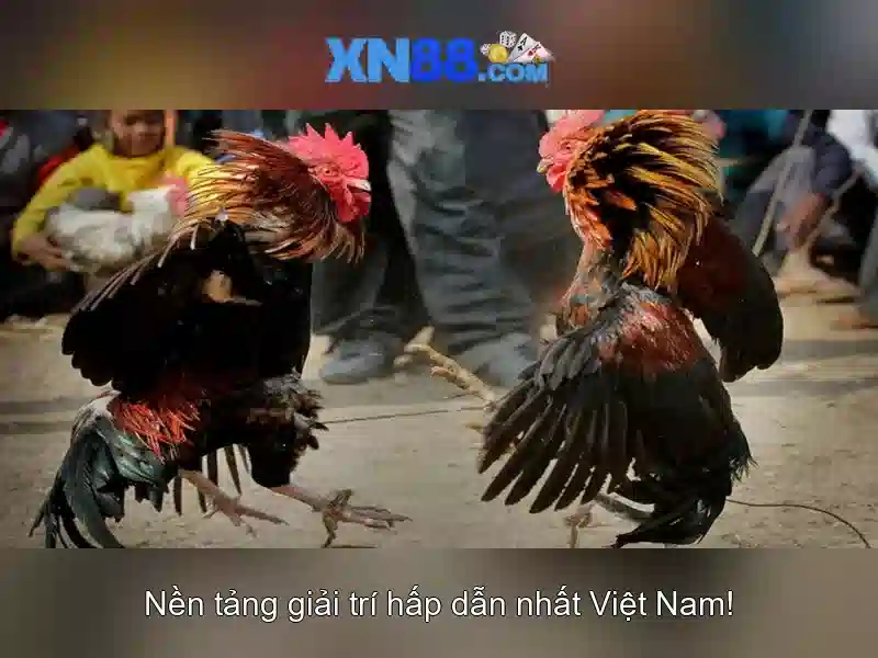 💎100 hb88 casino no deposit bonus💎