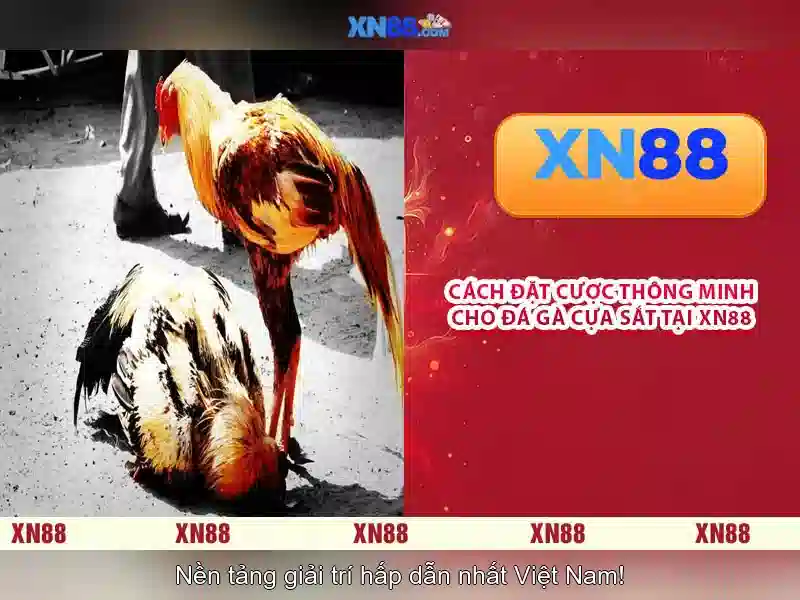 💎bong365 keo nha cai💎