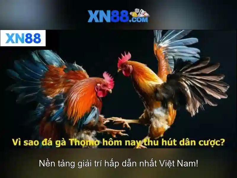 💎888 slot photos💎