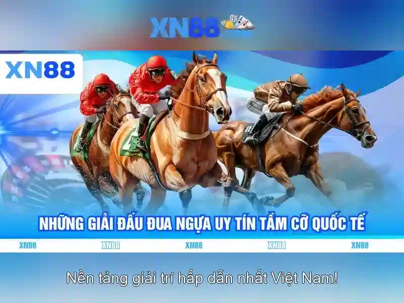 💎ty le ca cuoc bong da c1💎