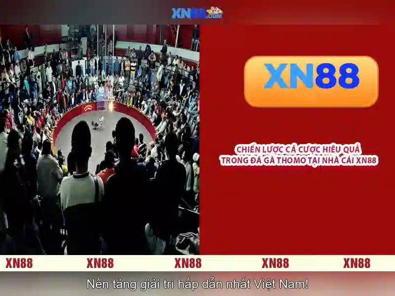 💎xn88 slot game download apk💎