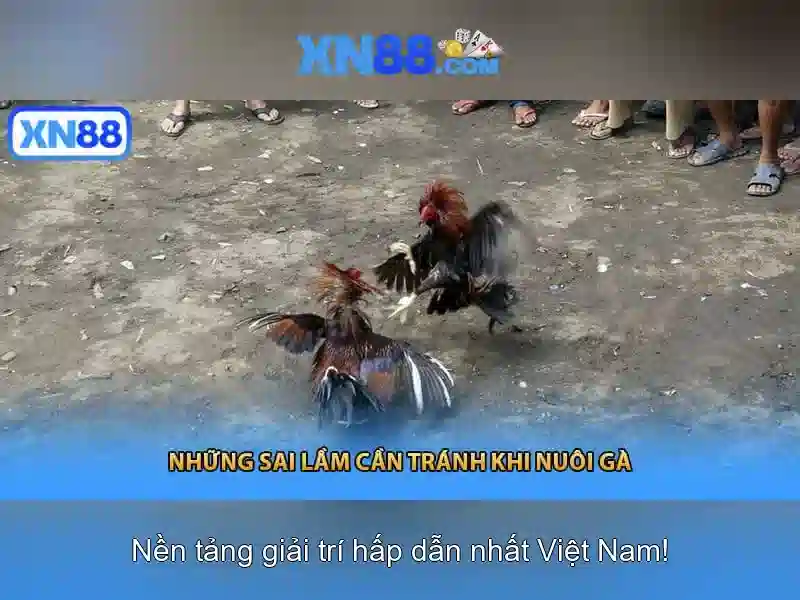 💎nhà cái uy tín 20 vui💎