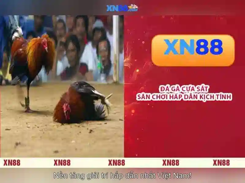 💎xn88 điện tử💎