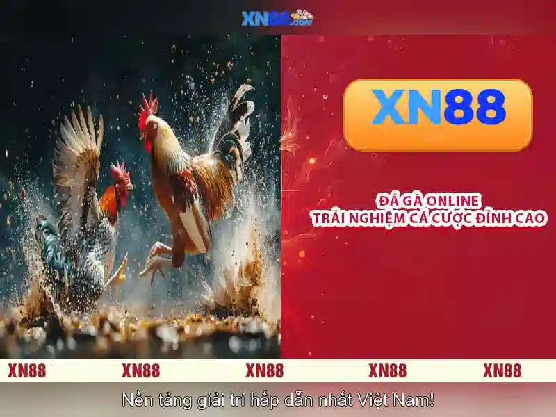 💎how are slots programmed💎