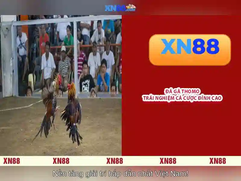 💎prediksi slot gacor hari ini💎