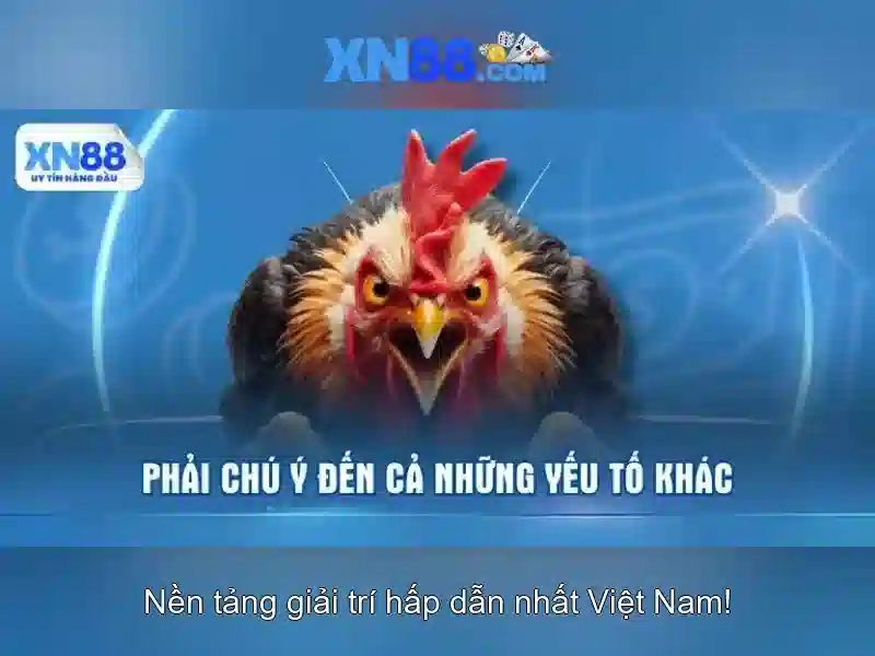 💎fachai hb88 download apk💎