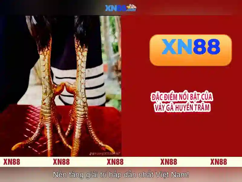 💎crazy hunter 2 hb88💎