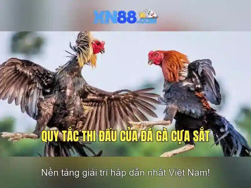 💎top 22 nhà cái uy tín💎
