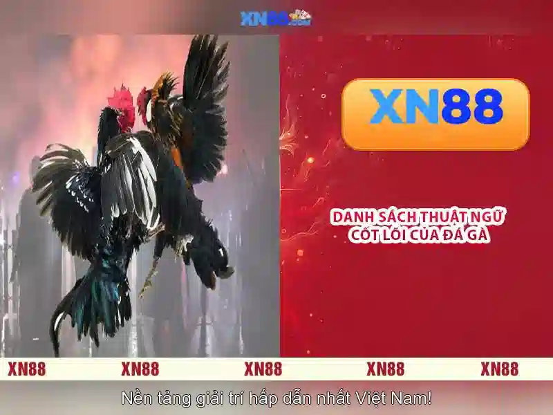 💎66b nguyễn sỹ sách, p15, quận tân bình💎 - tài khoản 66b - 66b android