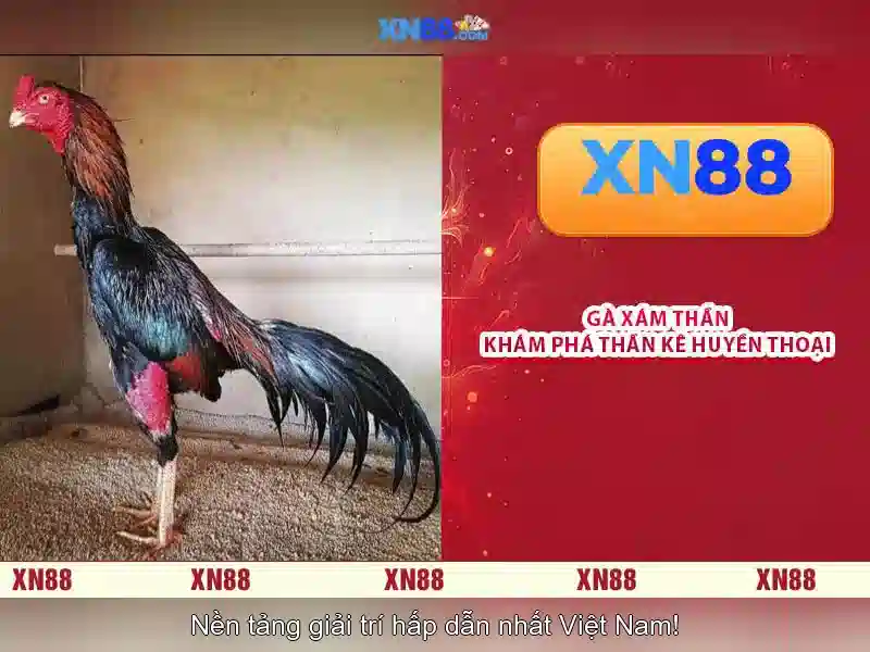 💎xn88 slot news💎