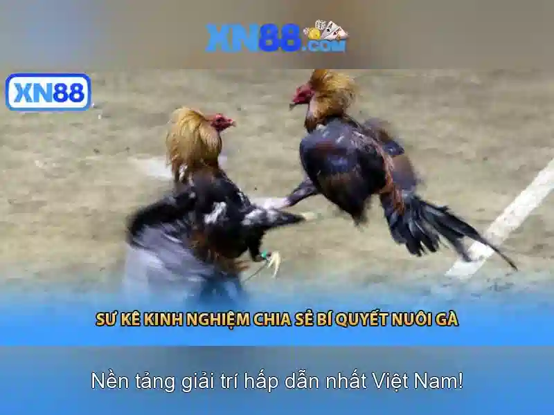 💎bong da ty le ca cuoc macao💎