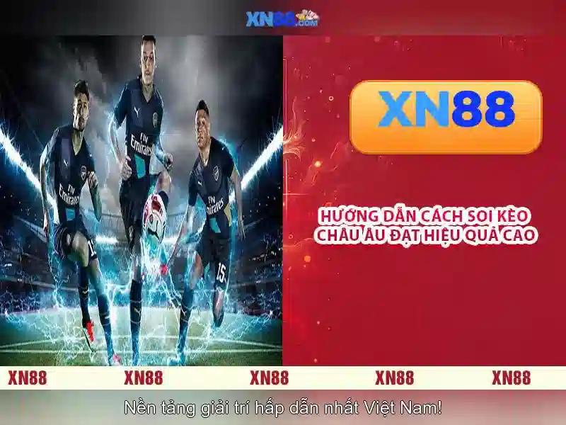 💎xn88 city apk💎