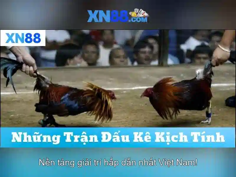 💎mirjam 888slot slot💎