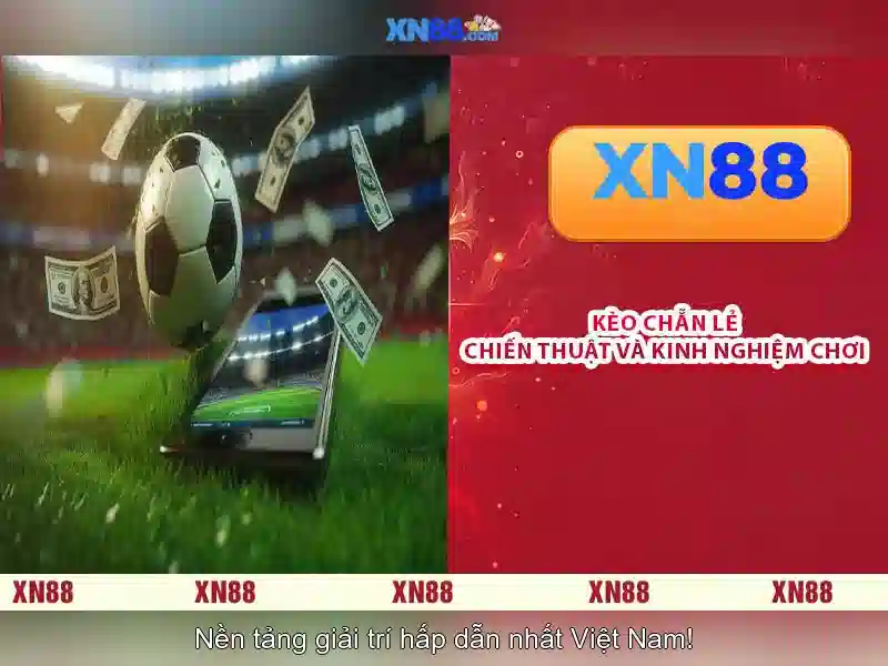 💎t ly hb88_link💎