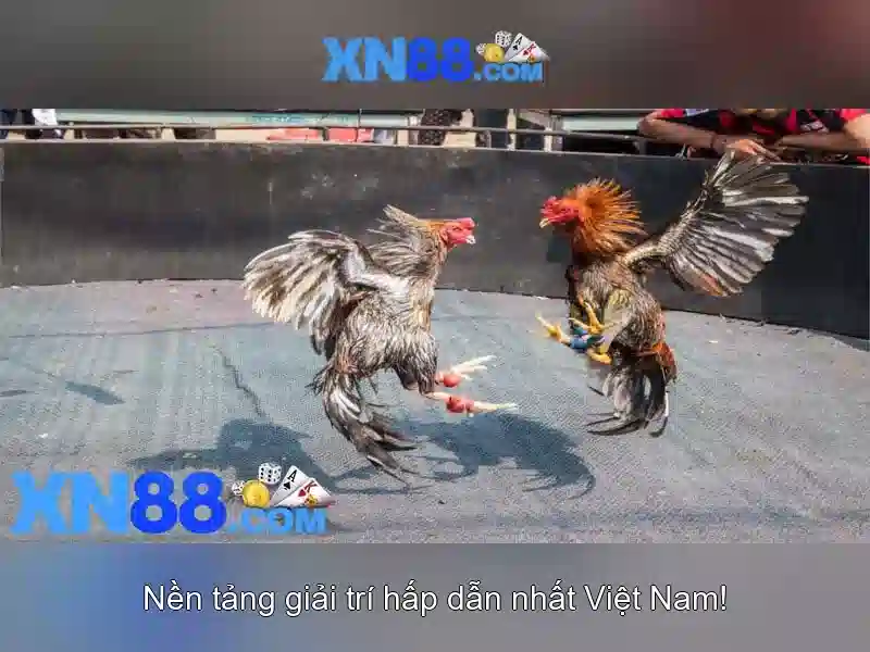 💎888 slot slot bị thẻ đỏ💎