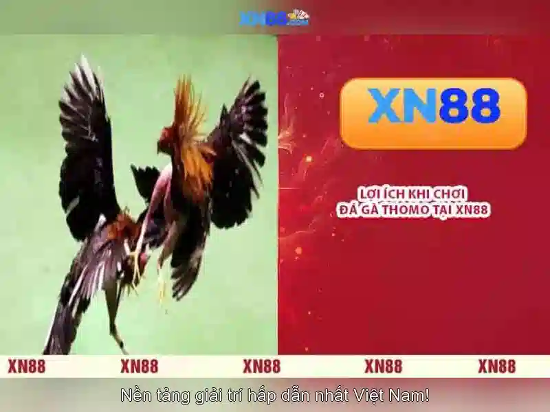 💎hb88 slot teams coached💎