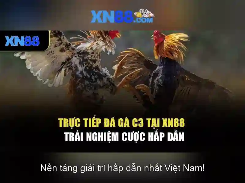 💎sòng bạc tín dụng miễn phí💎