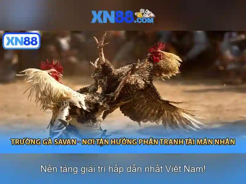 💎xn88 slot tatics💎