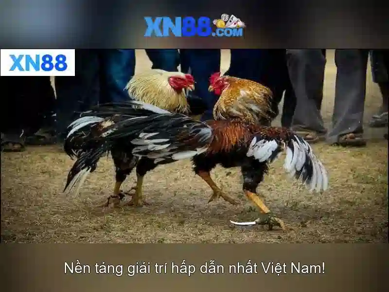 💎888 slot sports betting💎